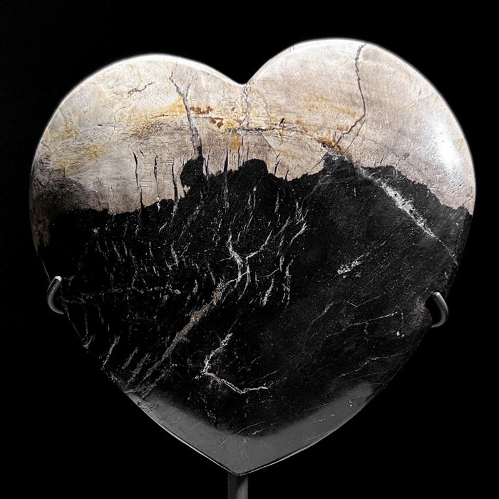 Heart shaped petrified for sale  