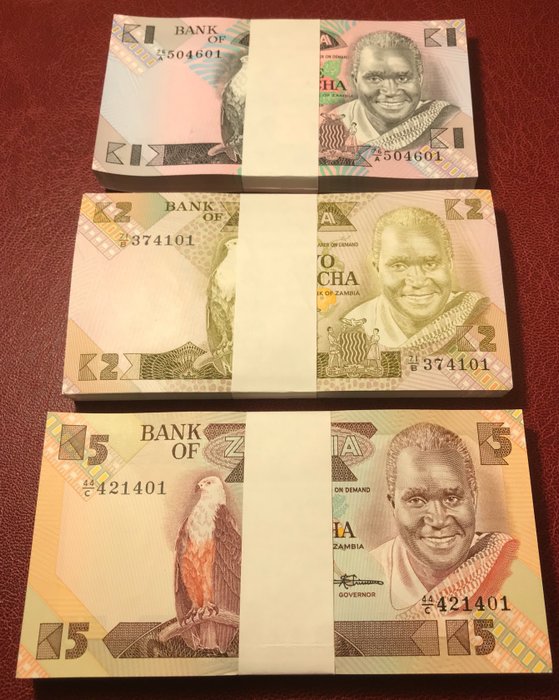 Zambia. 100 100 usato  