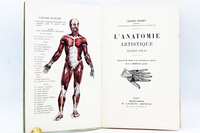 Charles rochet anatomie d'occasion  