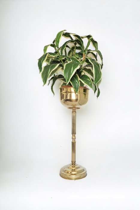 Flower pot brass for sale  