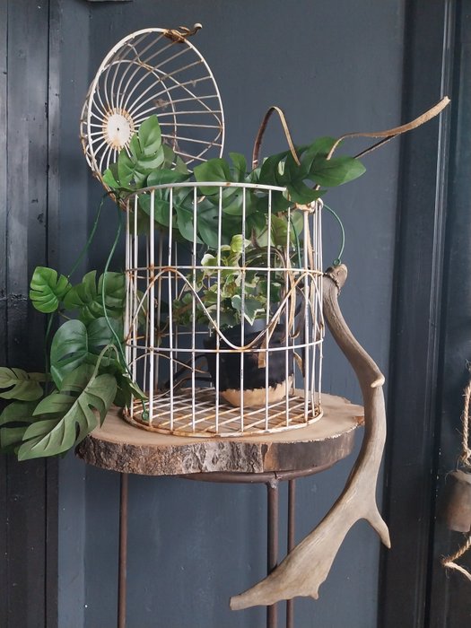 Birdcage victorian style for sale  