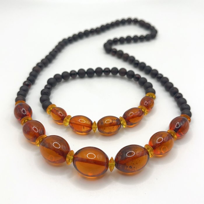 Amber baltic amber for sale  