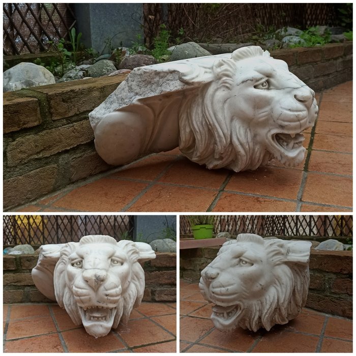 Sculpture testa leone usato  