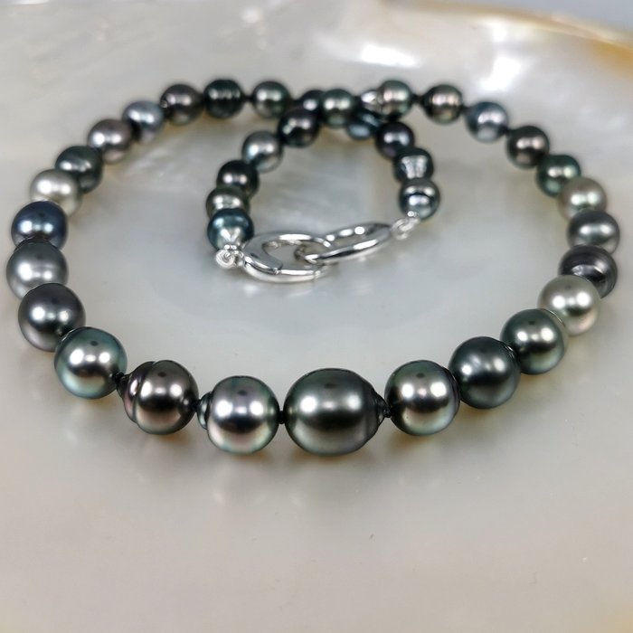 Rainbow tahitian pearls for sale  