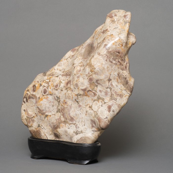 Stone wood fossil usato  