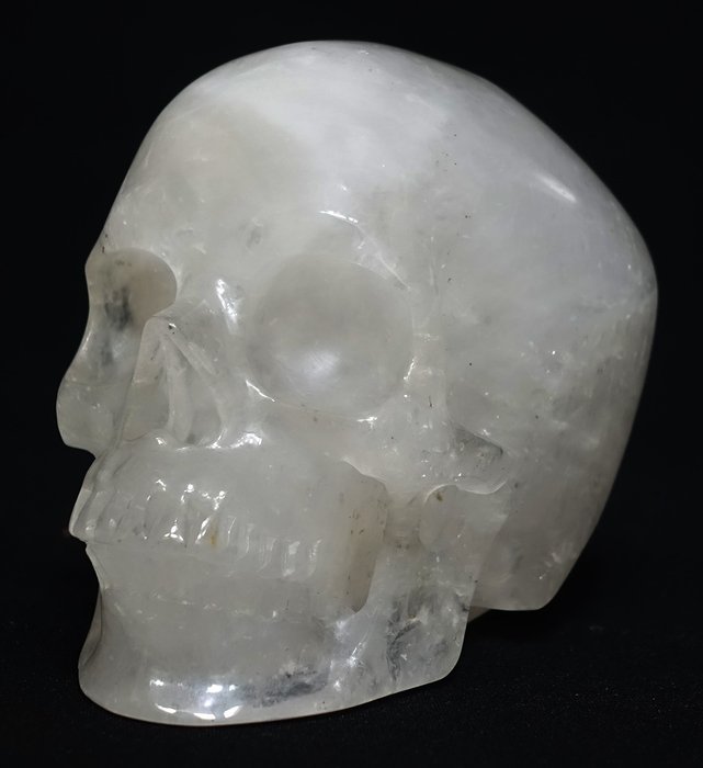 Carved skull translucent for sale  