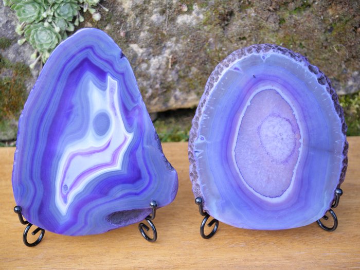 Reserve agate slices for sale  