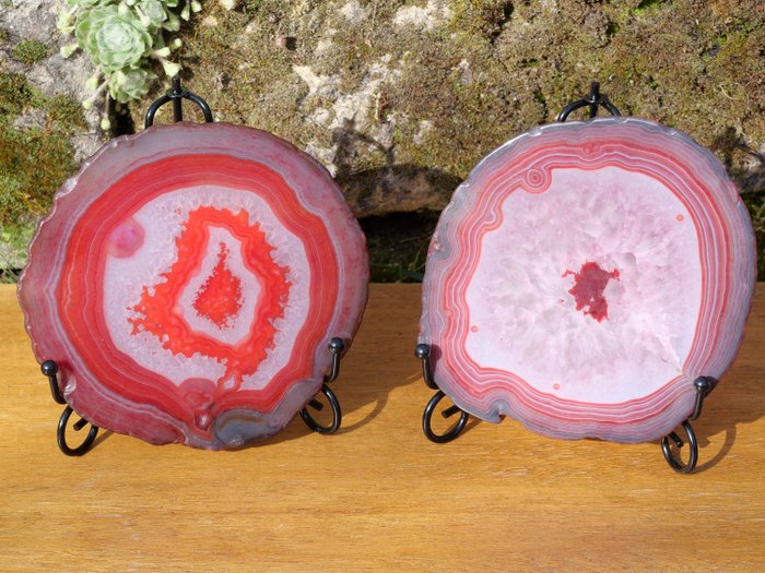 Reserve agate slices for sale  