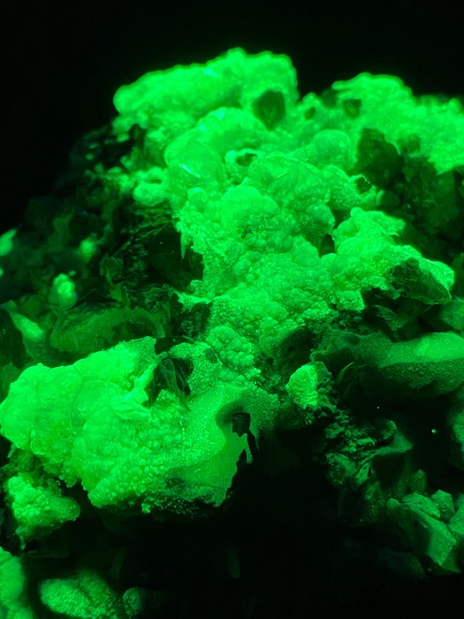 Daylight fluorescent botryoida for sale  
