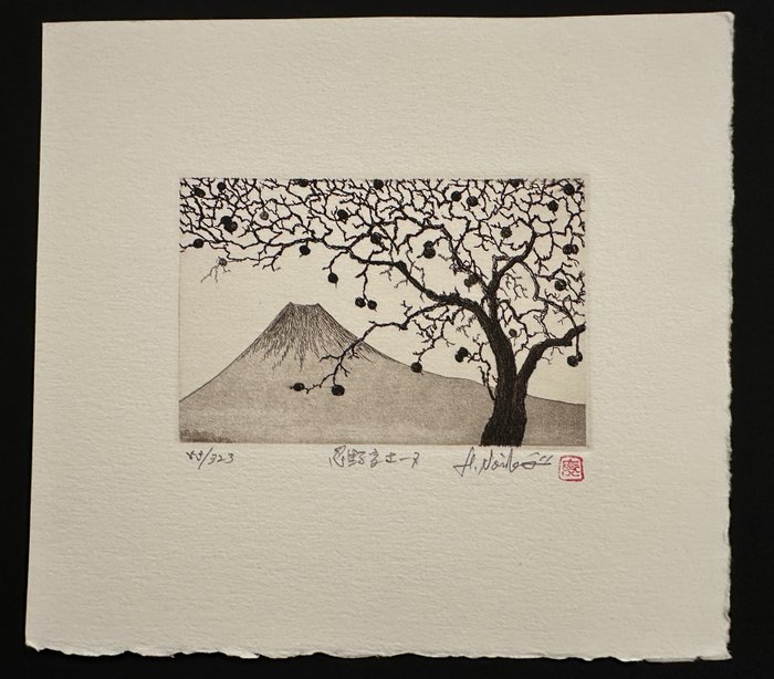 Mt. fuji tree for sale  