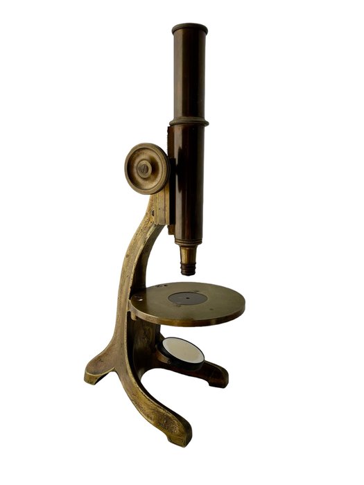 Microscope monocular 1890 d'occasion  
