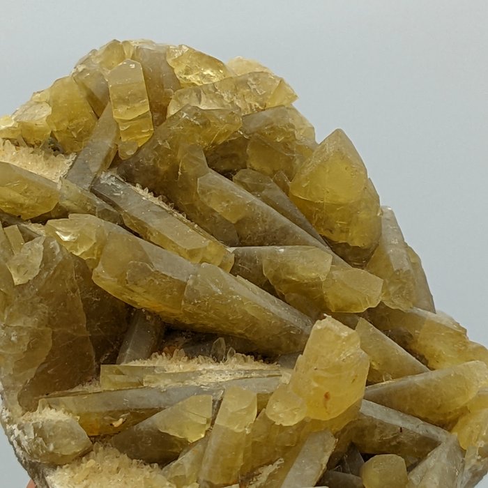 Unusual golden honey usato  