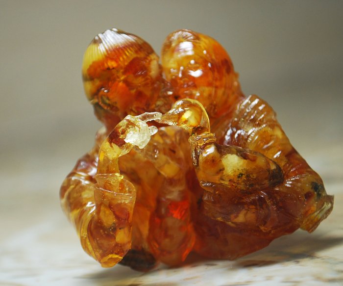Bust baltic amber usato  