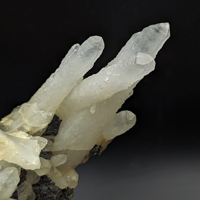 Cactus quartz with d'occasion  