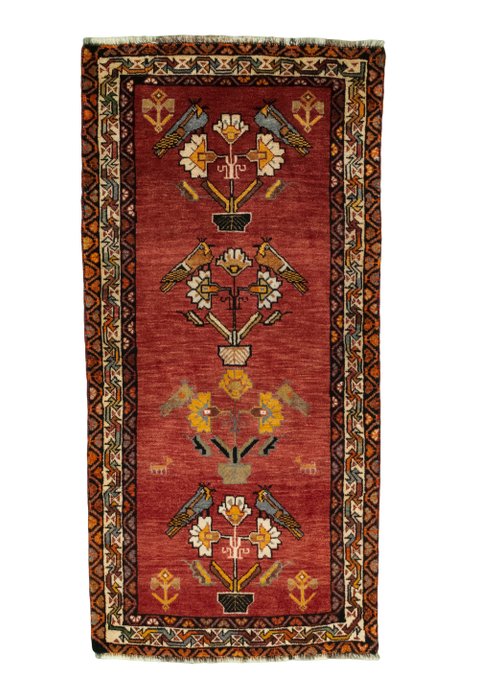 Shiraz rug 165 usato  