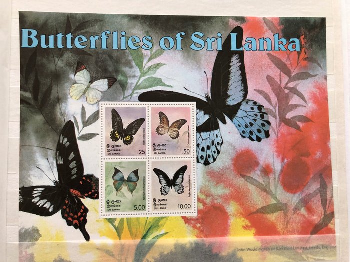 World theme butterflies usato  