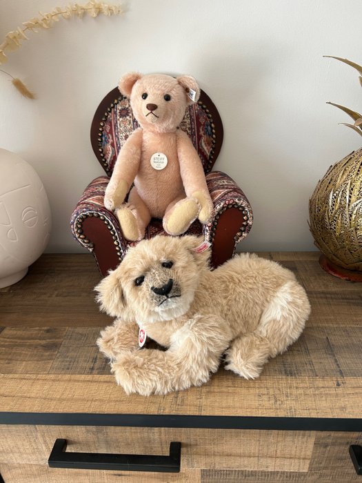 Steiff teddy bear for sale  