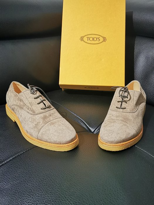 Tod lace shoes for sale  