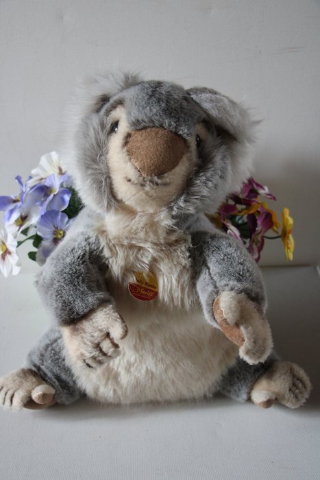 Steiff molly koala for sale  