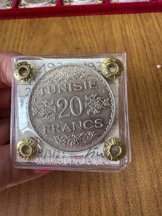 Tunisia. francs 1934 usato  