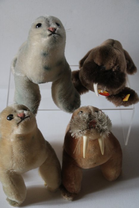 Steiff zeeleeuwen walrussen for sale  