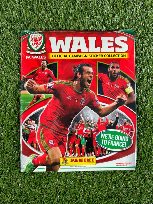 Panini wales official for sale  