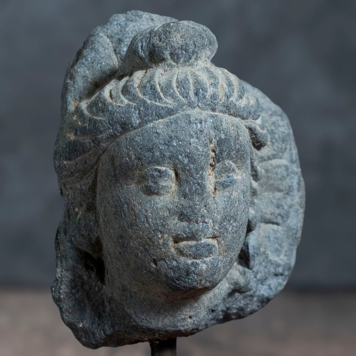 Gandhara schist head for sale  