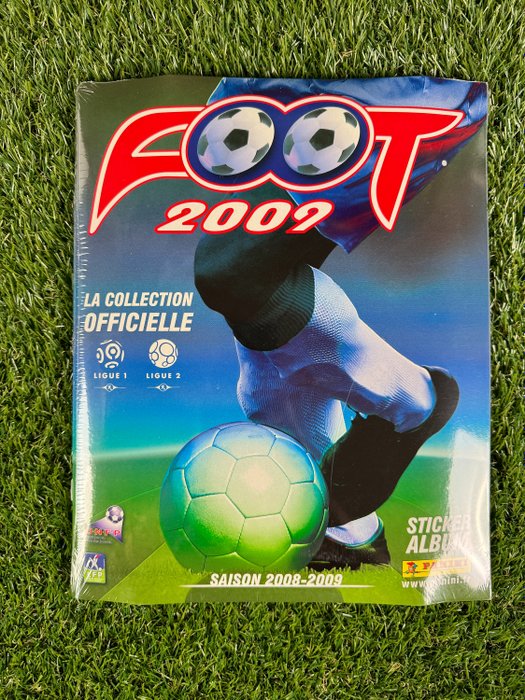 Panini foot 2009 d'occasion  