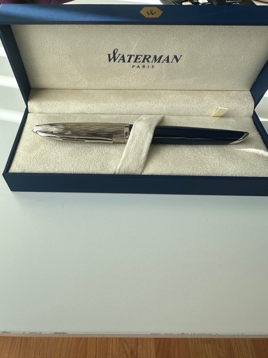 Waterman carene deluxe usato  