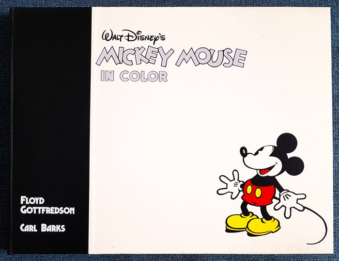 Mickey mouse color usato  