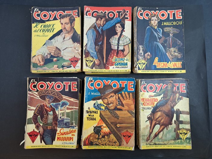 Coyote nuova serie for sale  