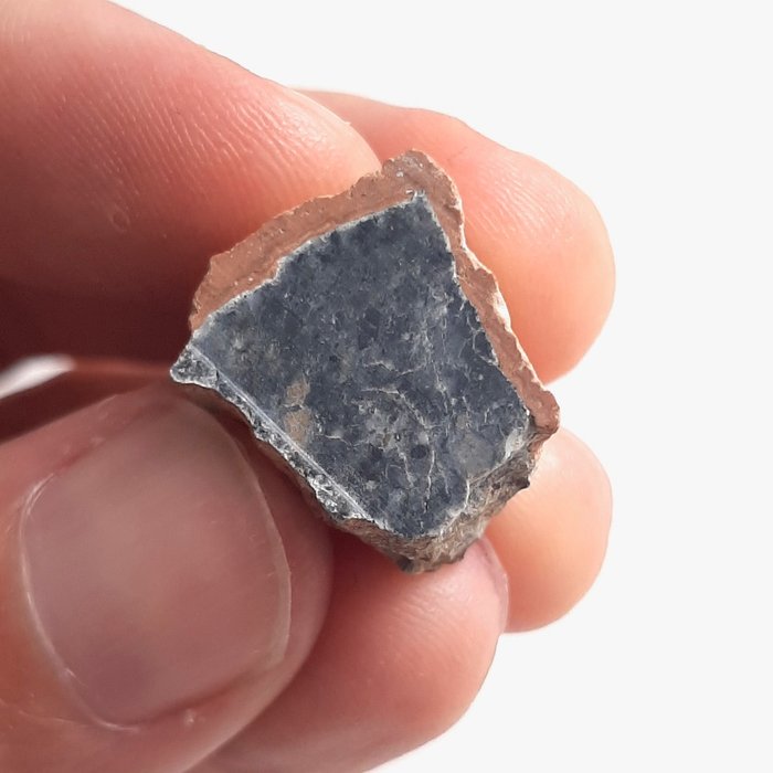 Lunar meteorite. bechar for sale  