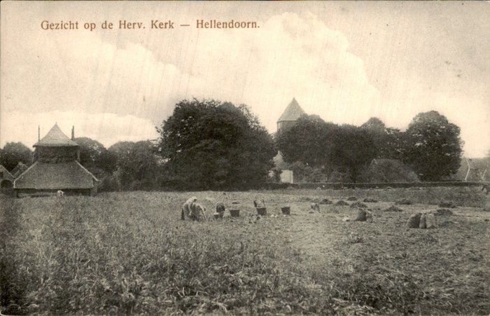 Netherlands hellendoorn postca for sale  