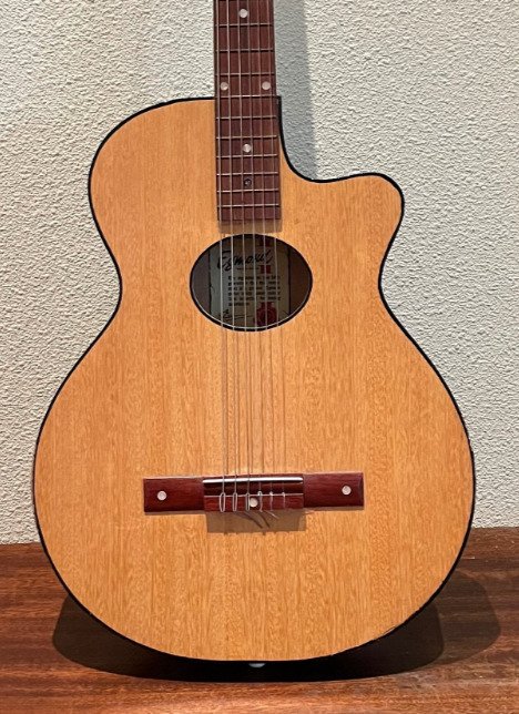 Egmond acoustic guitar for sale  