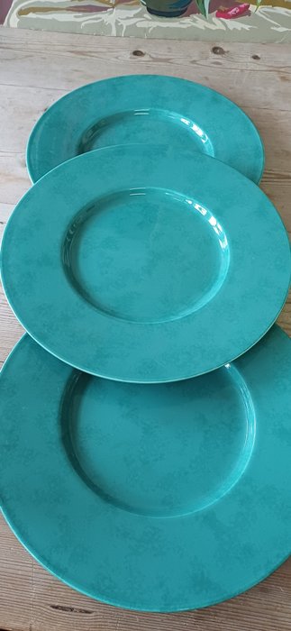 Charger plate porcelain for sale  