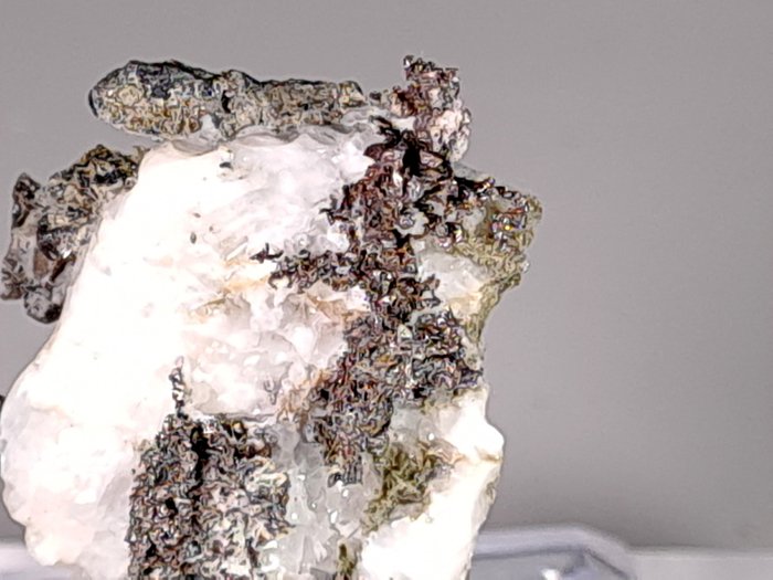 Silver arborescent formations for sale  