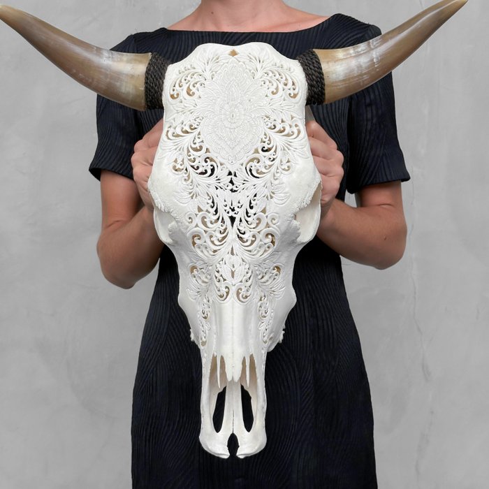 Reserve price skull for sale  