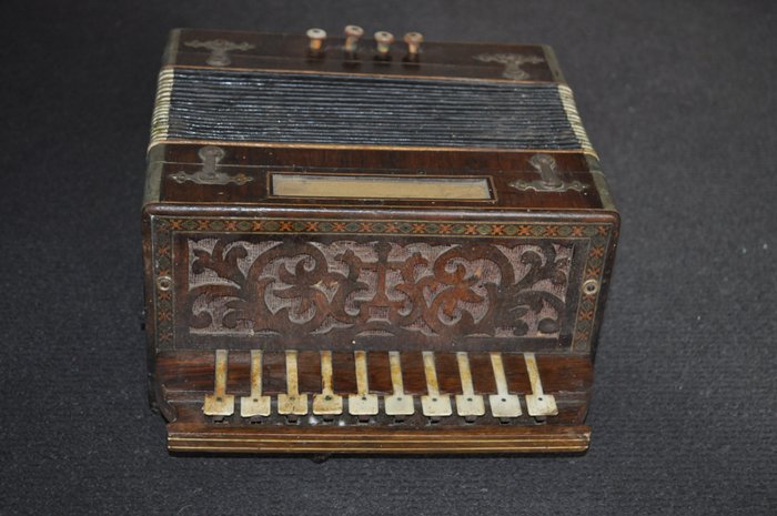 Unknown accordion italy usato  