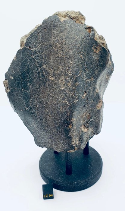 Unclassified nwa meteorite usato  