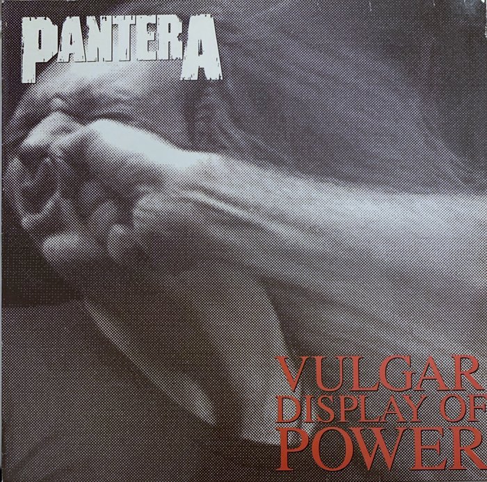 Pantera vulgar display for sale  