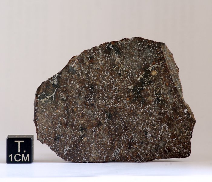 Unique meteorite sky for sale  