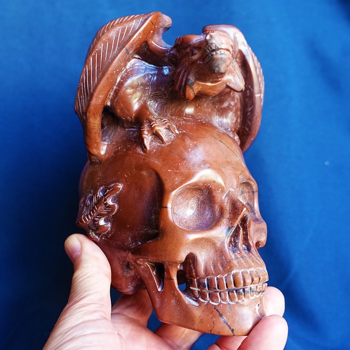 Winged dragon skull for sale  