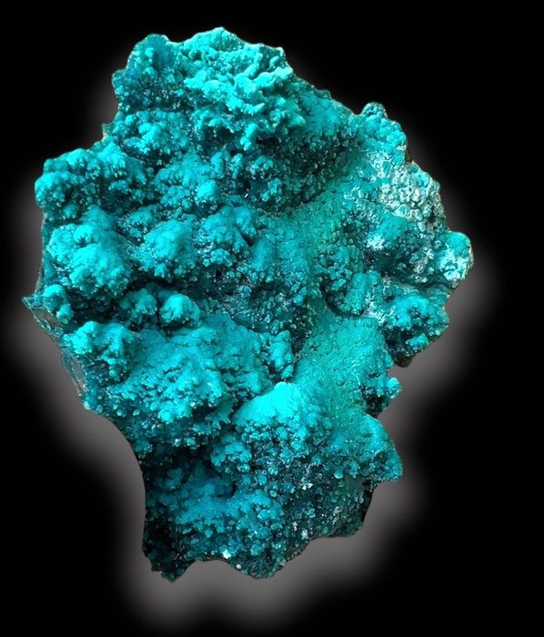 Chrysocolla intense color for sale  