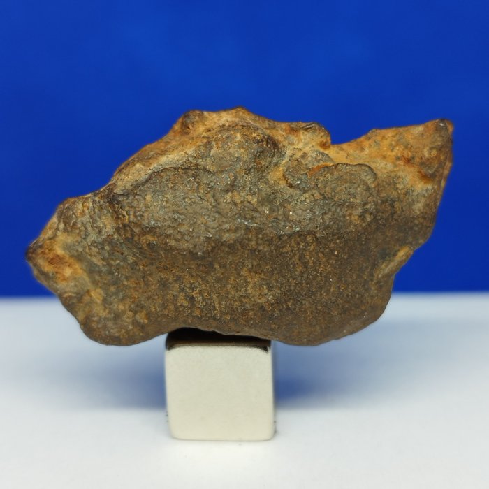 Iron meteorite gebel for sale  