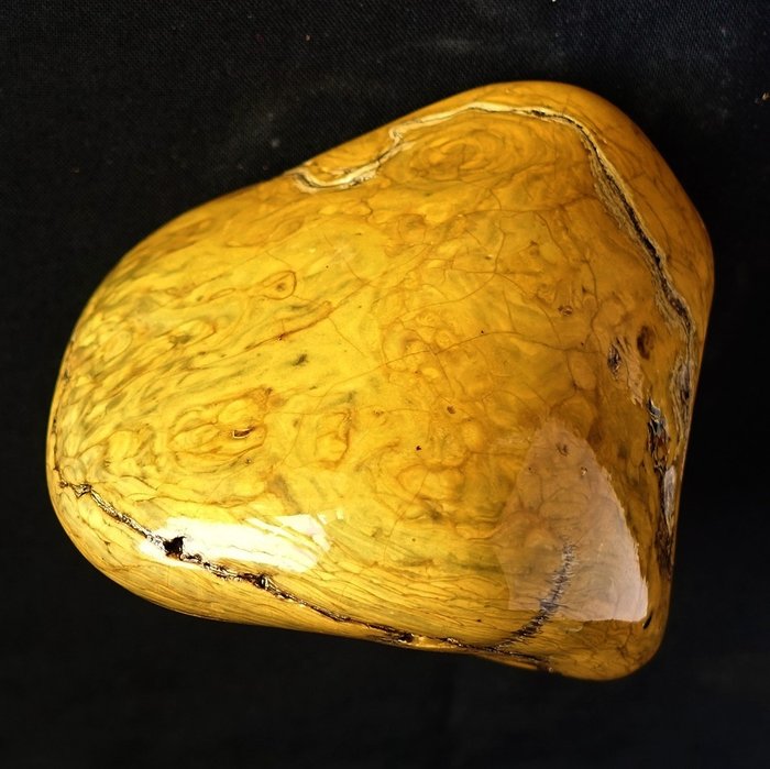 Amber 12 cm for sale  