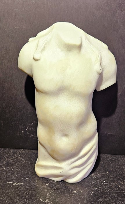 Sculpture torso cm for sale  