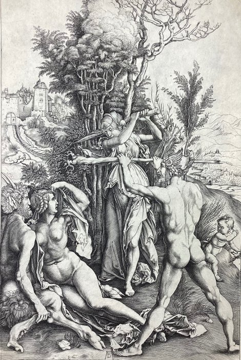 Albrecht dürer ercole usato  