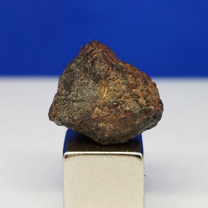 Angrite meteorite oldest for sale  