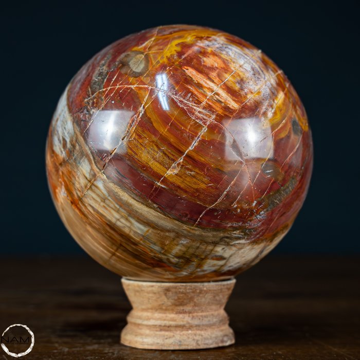 Natural sphere petrified for sale  