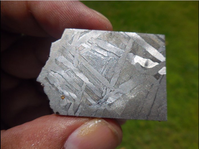 Seymchan pallasite meteorite for sale  